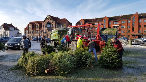 Foto: Tannenbaum-Schredderaktion