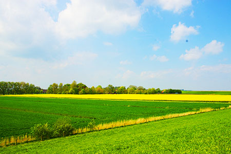 Aussicht Segelflugplatz 450 300