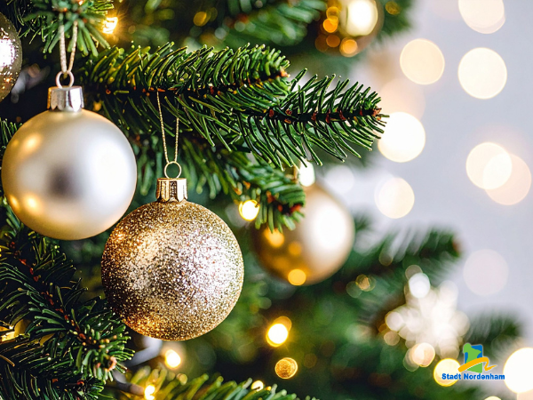 umweltpreis baum 2025 400x300