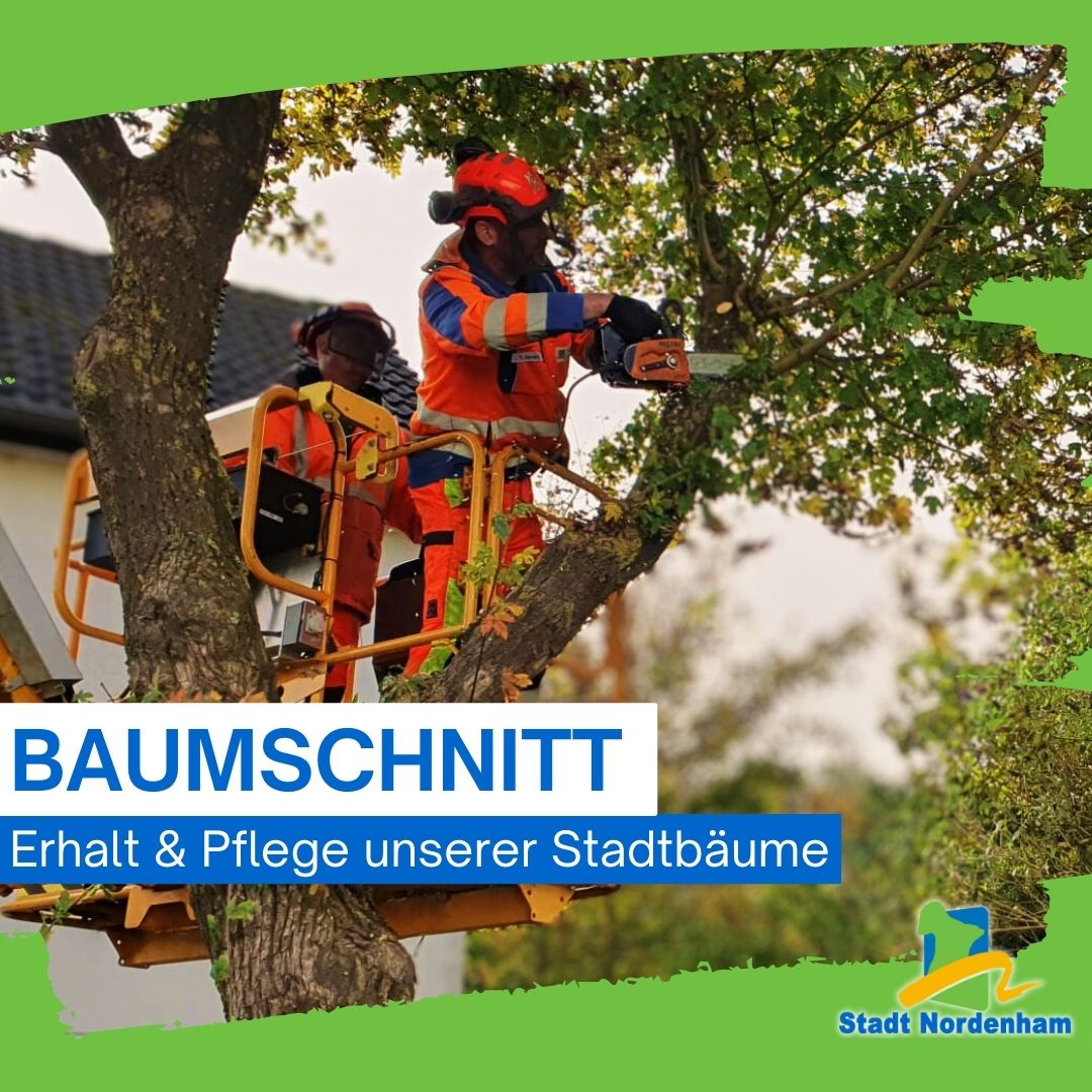 baumschnitt facebook 02